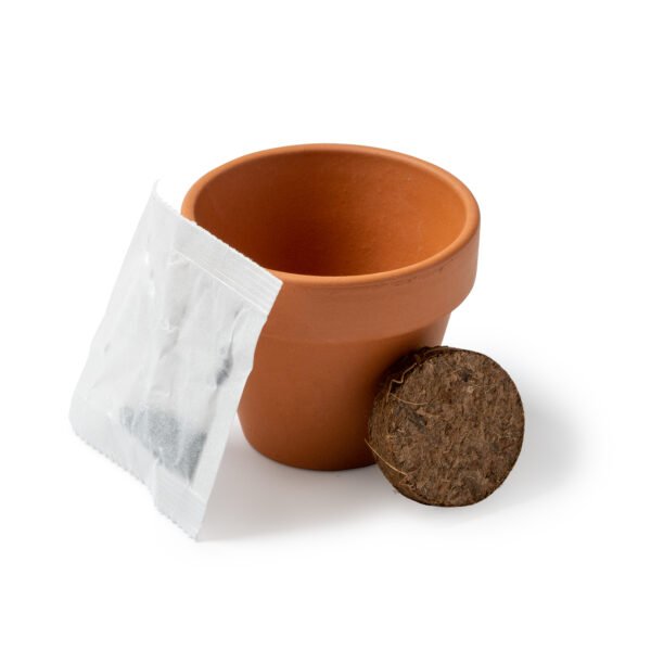 GIRAX - Image 4
